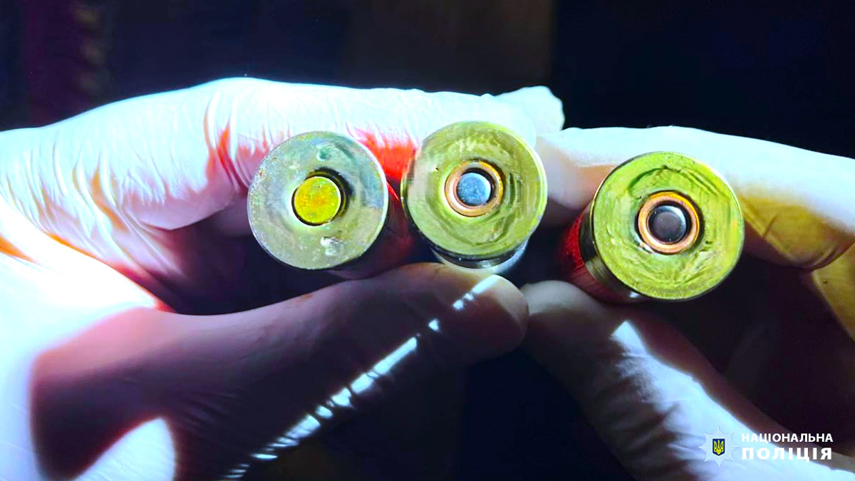 Мешканець Ворохти зберігав дома гранату, зброю та набої різного калібру 3