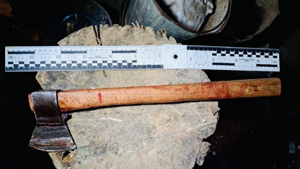 На Прикарпатті чоловік сокирою забив до смерті сусідку 2