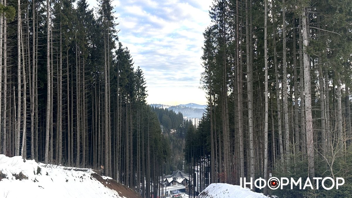 Казкові пейзажі та лижний драйв: фоторепортаж із святкового Буковелю 11