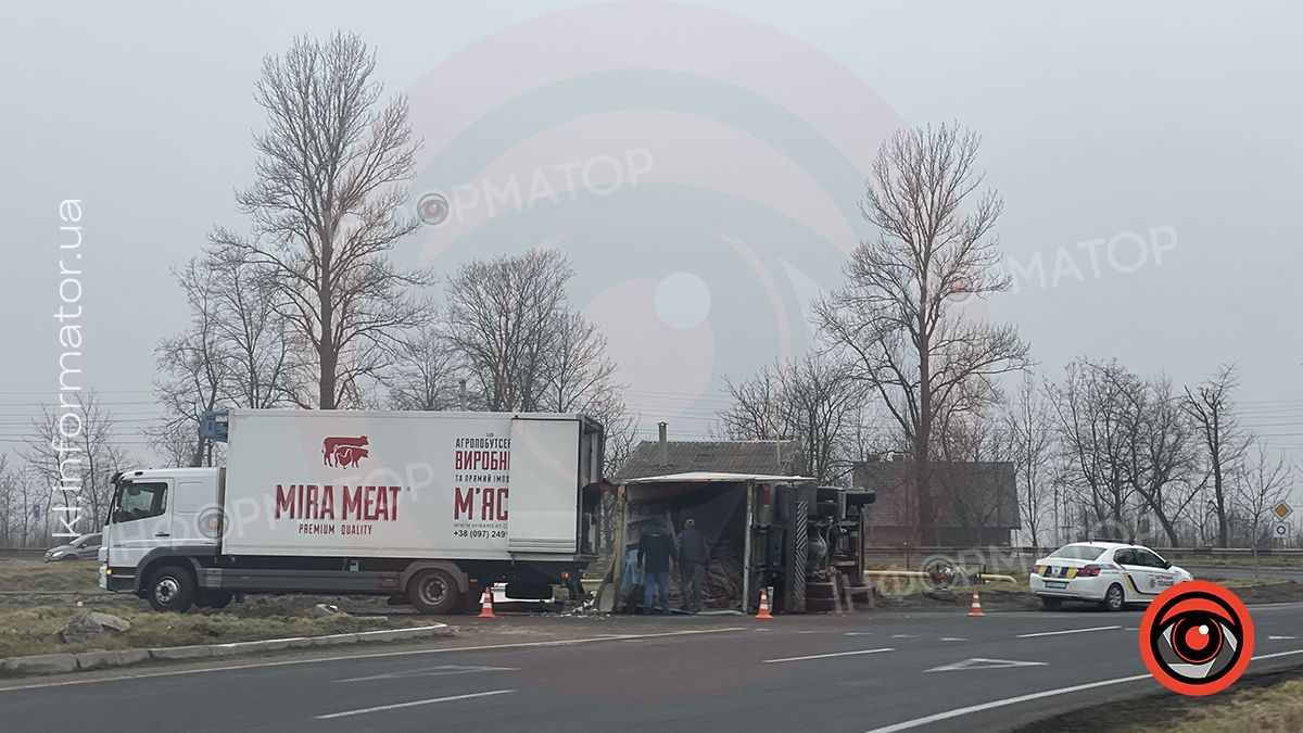 Під Коломиєю перекинулась вантажівка з тушами. ФОТО 3