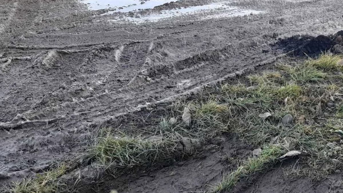 У Воскресінцях мешканці скаржаться на заболочену вулицю 2