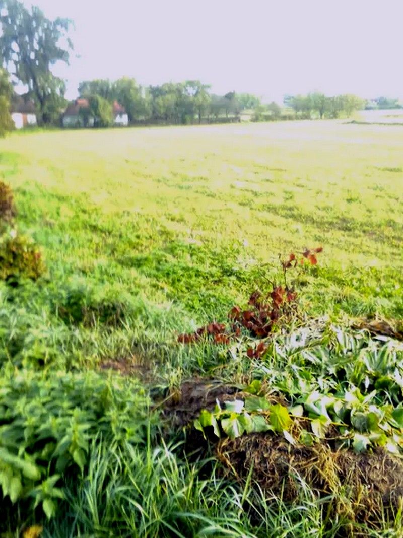 Арештовану землю в Мишині продають з аукціону за чверть мільйона 1