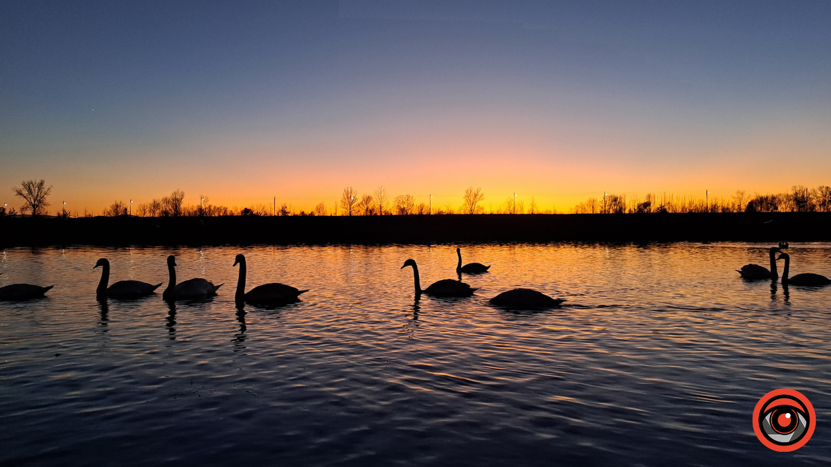 Погода в Коломиї 7 січня: хмарно, але тепло