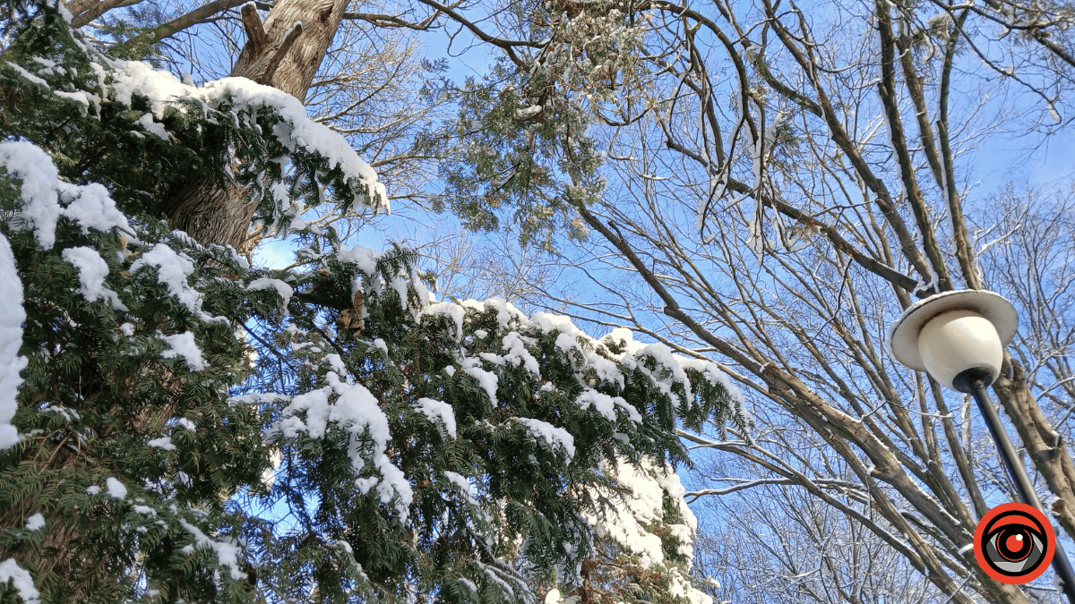 Погода в Коломиї на 3 січня: снігопад і плюсова температура