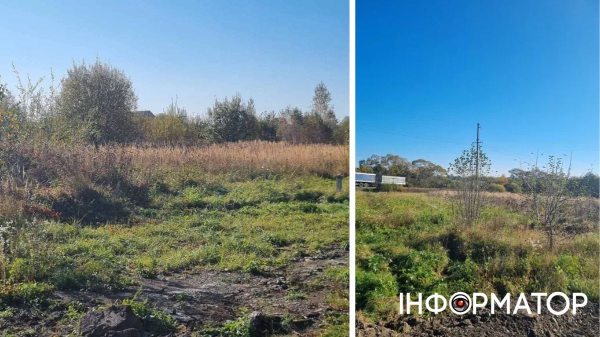 Влада Коломиї продала з аукціону гектар землі 3