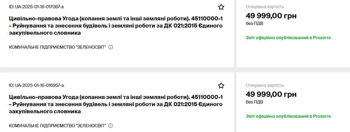 Послуги копачів могил закупили за 100 тис грн у Коломиї 1