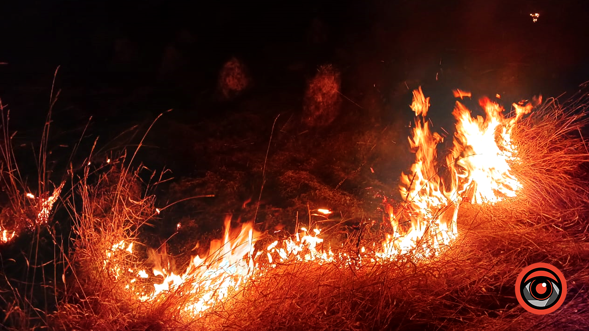 Минулої доби на Прикарпатті зафіксували 11 пожеж на відкритих територіях 1