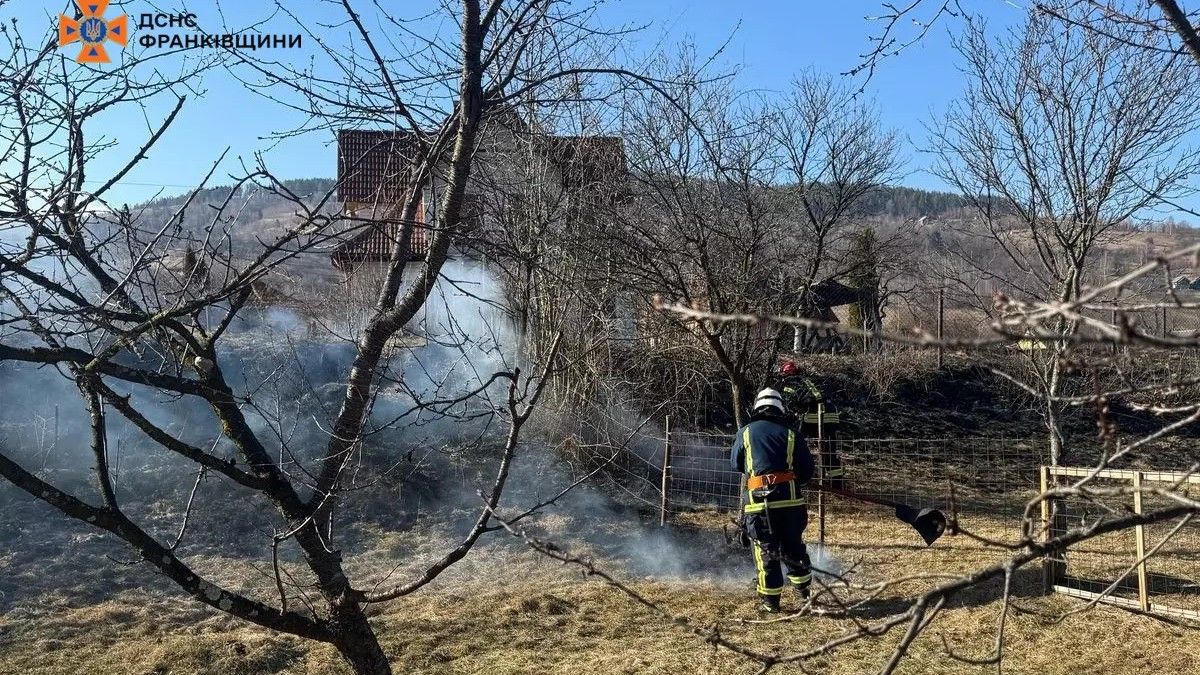 Прикарпаття знову у вогні: десятки пожеж сухої трави загасили 25 лютого 3