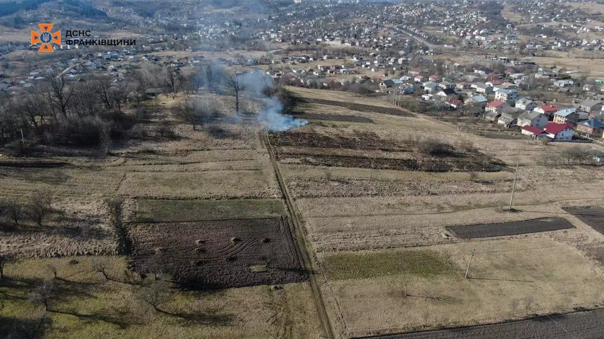 Антирекорд: 26 лютого на Прикарпатті зафіксували 81 пожежу в екосистемах 1