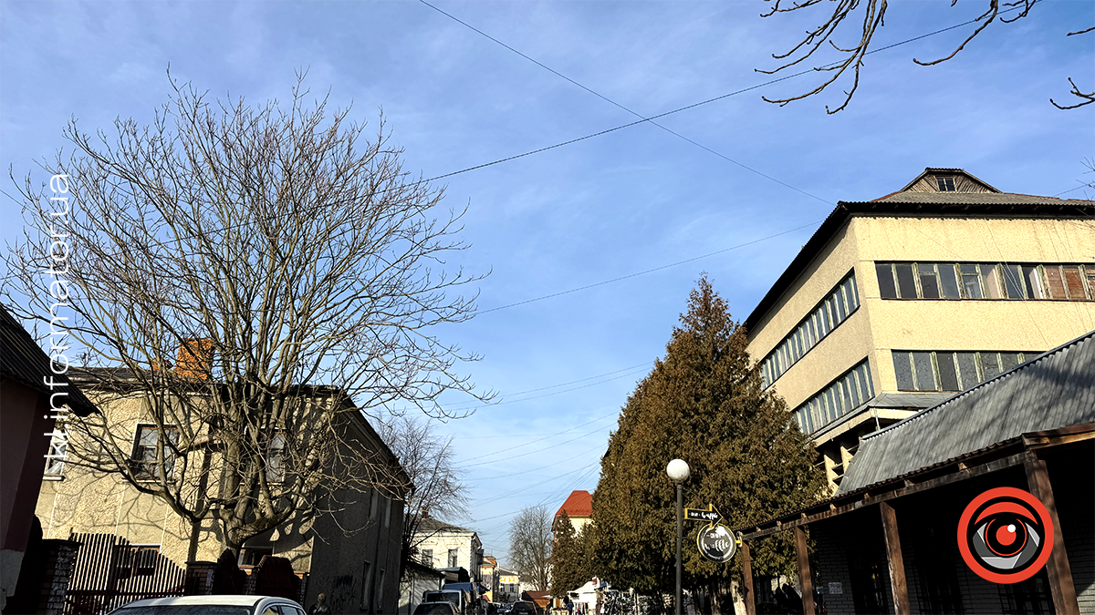 Морозні вулиці Коломиї: фоторепортаж міста 6