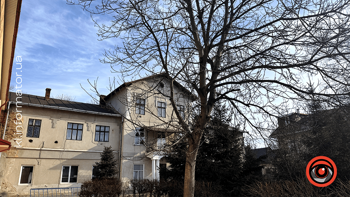 Морозні вулиці Коломиї: фоторепортаж міста 1