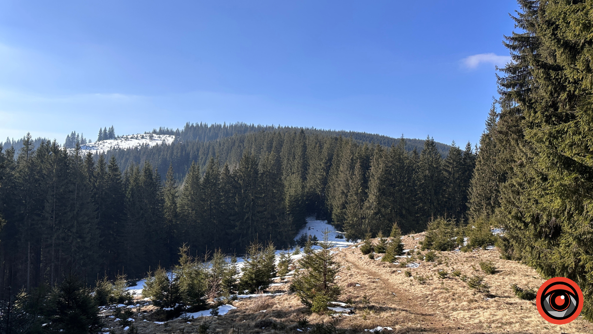 Крижані візерунки, сонячні промені й безмежний спокій гір: фоторепортаж з Карпат 11