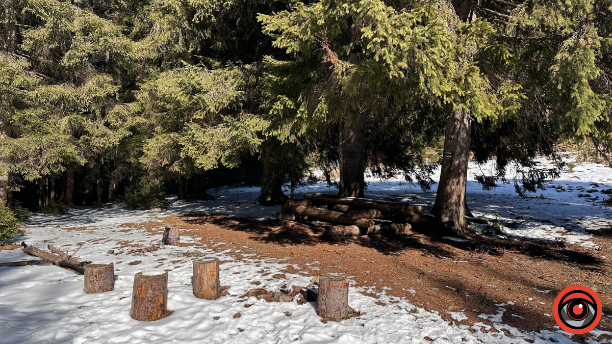 Крижані візерунки, сонячні промені й безмежний спокій гір: фоторепортаж з Карпат 12