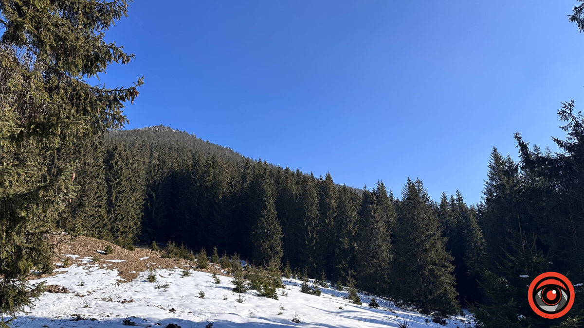 Крижані візерунки, сонячні промені й безмежний спокій гір: фоторепортаж з Карпат 13