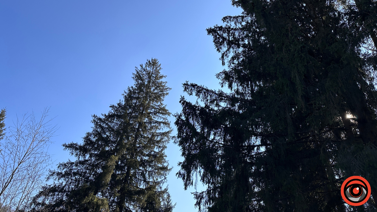 Крижані візерунки, сонячні промені й безмежний спокій гір: фоторепортаж з Карпат 14