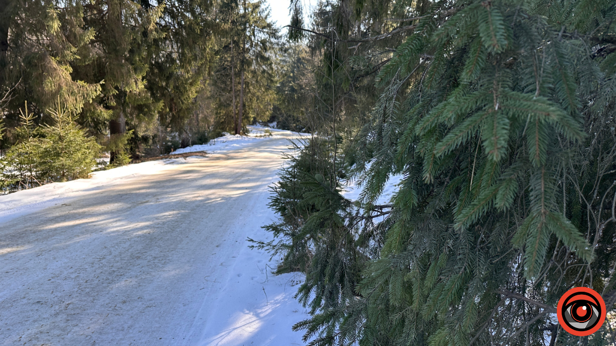 Крижані візерунки, сонячні промені й безмежний спокій гір: фоторепортаж з Карпат 15