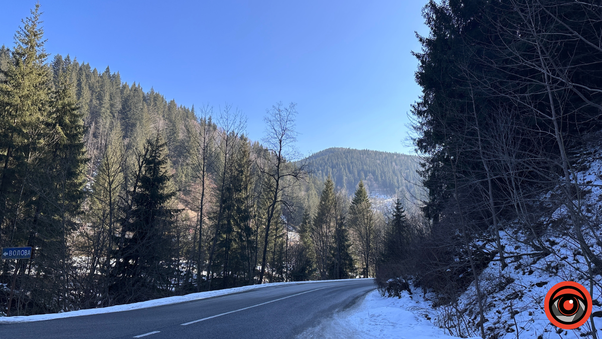 Крижані візерунки, сонячні промені й безмежний спокій гір: фоторепортаж з Карпат 16