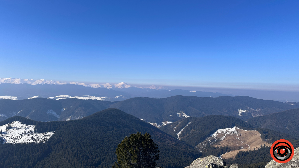 Крижані візерунки, сонячні промені й безмежний спокій гір: фоторепортаж з Карпат 6