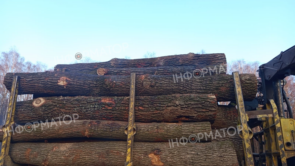 Пожежа дерева на лісовозі