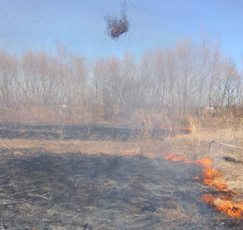 Скільки землі вигоріло на Коломийщині за минулу добу 3