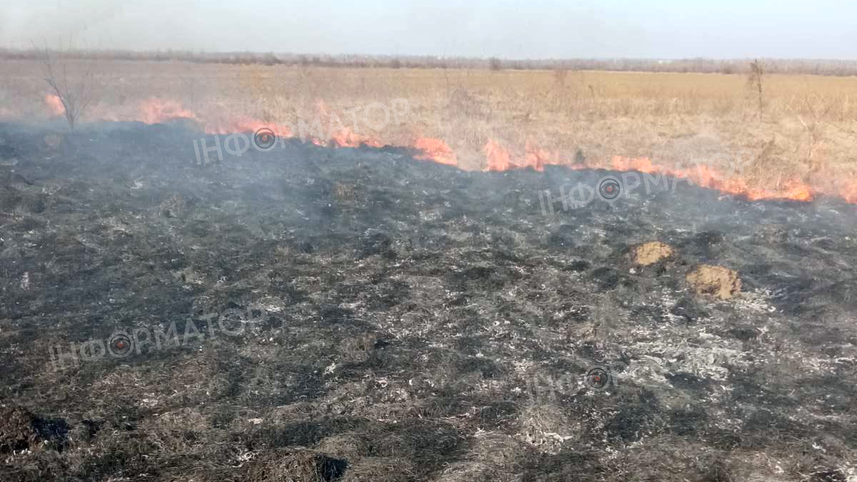 Скільки землі вигоріло на Коломийщині за минулу добу 2