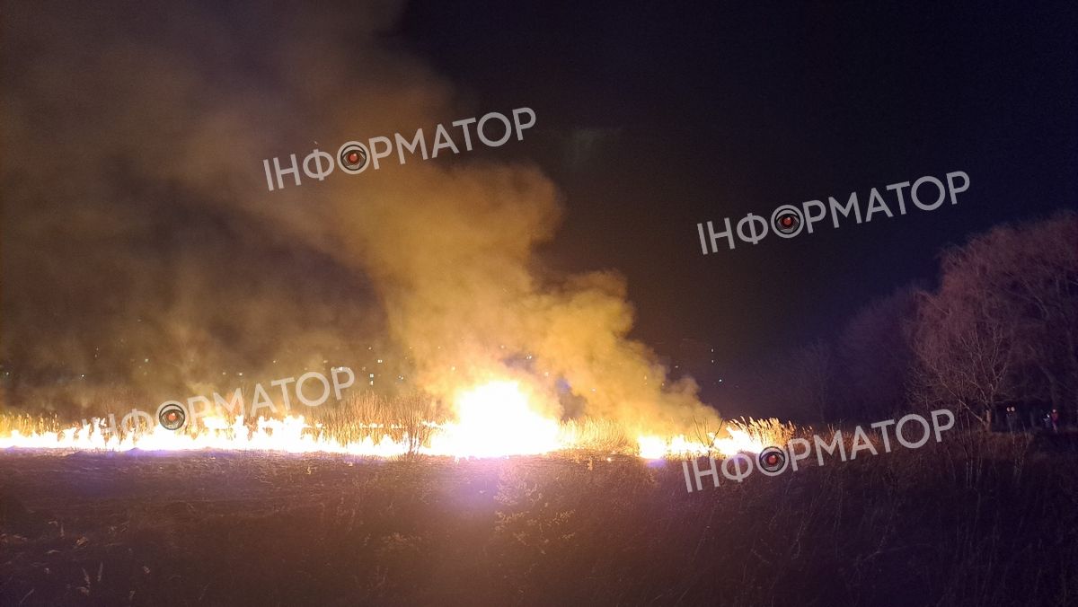 Масштабно палає в районі Гомону в Коломиї. ФОТО та ВІДЕО 6