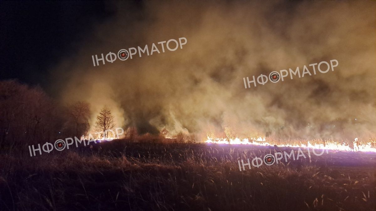 Масштабно палає в районі Гомону в Коломиї. ФОТО та ВІДЕО 5