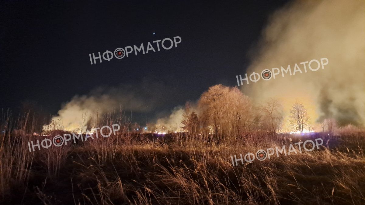 Масштабно палає в районі Гомону в Коломиї. ФОТО та ВІДЕО 4