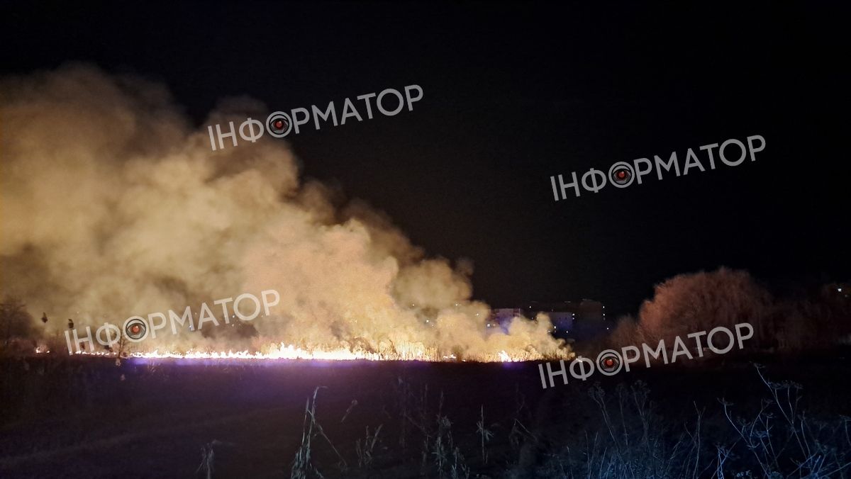 Масштабно палає в районі Гомону в Коломиї. ФОТО та ВІДЕО 2