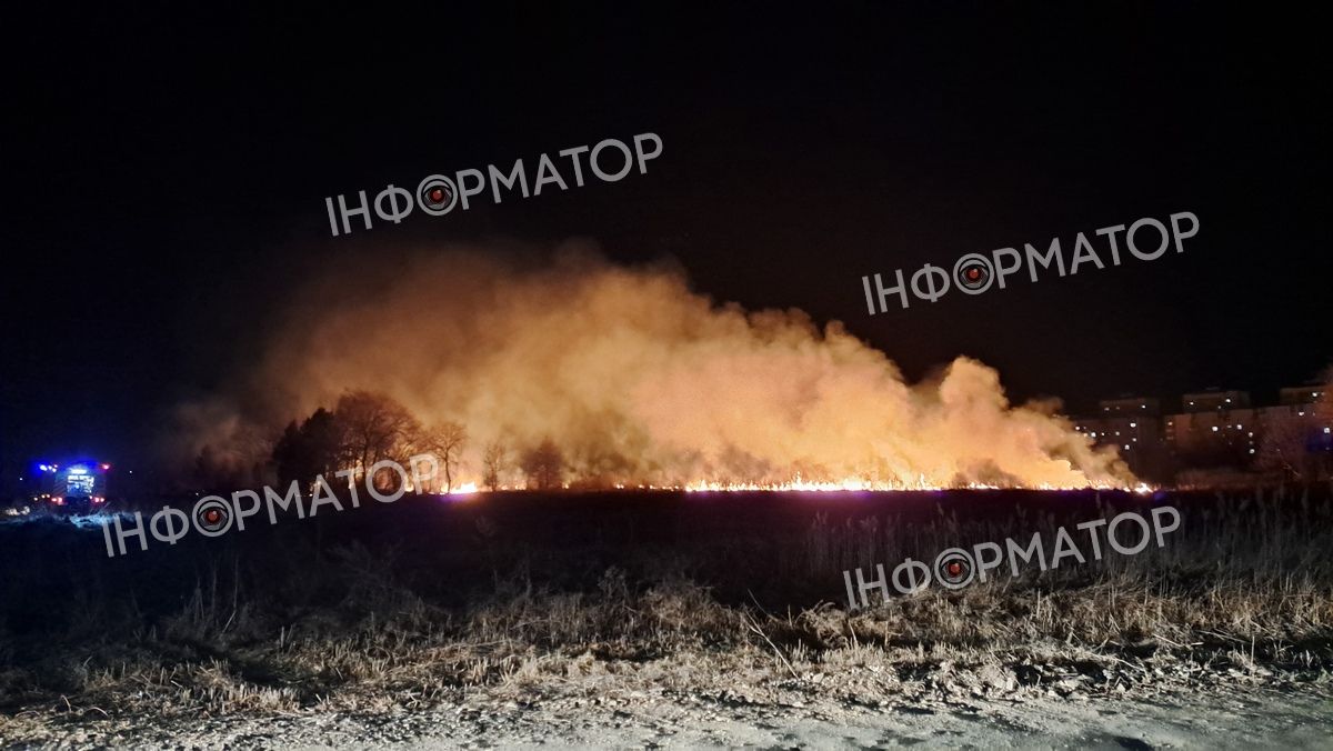 Масштабно палає в районі Гомону в Коломиї. ФОТО та ВІДЕО 1