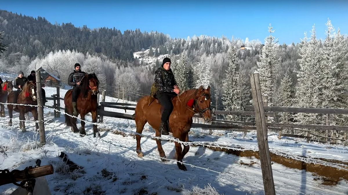 Сто красенів-коней представили на виставці фірмани Косівщини 3