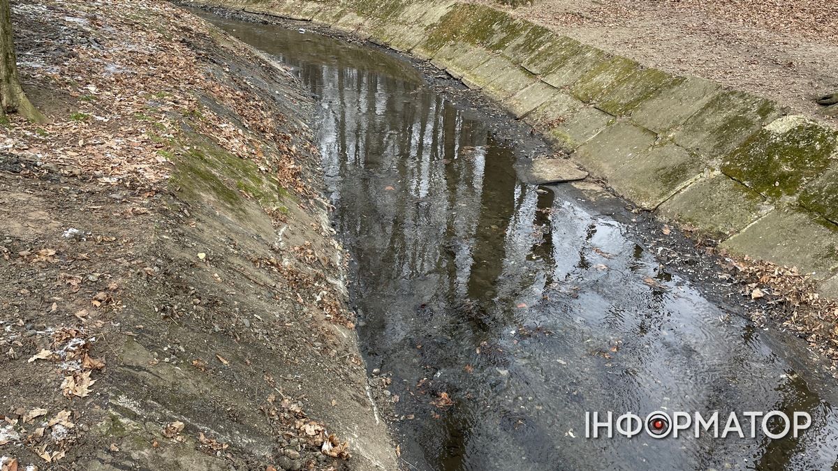 З дна ріки у міському парку Коломиї вивезли кілька причепів багна | ВІДЕО 8
