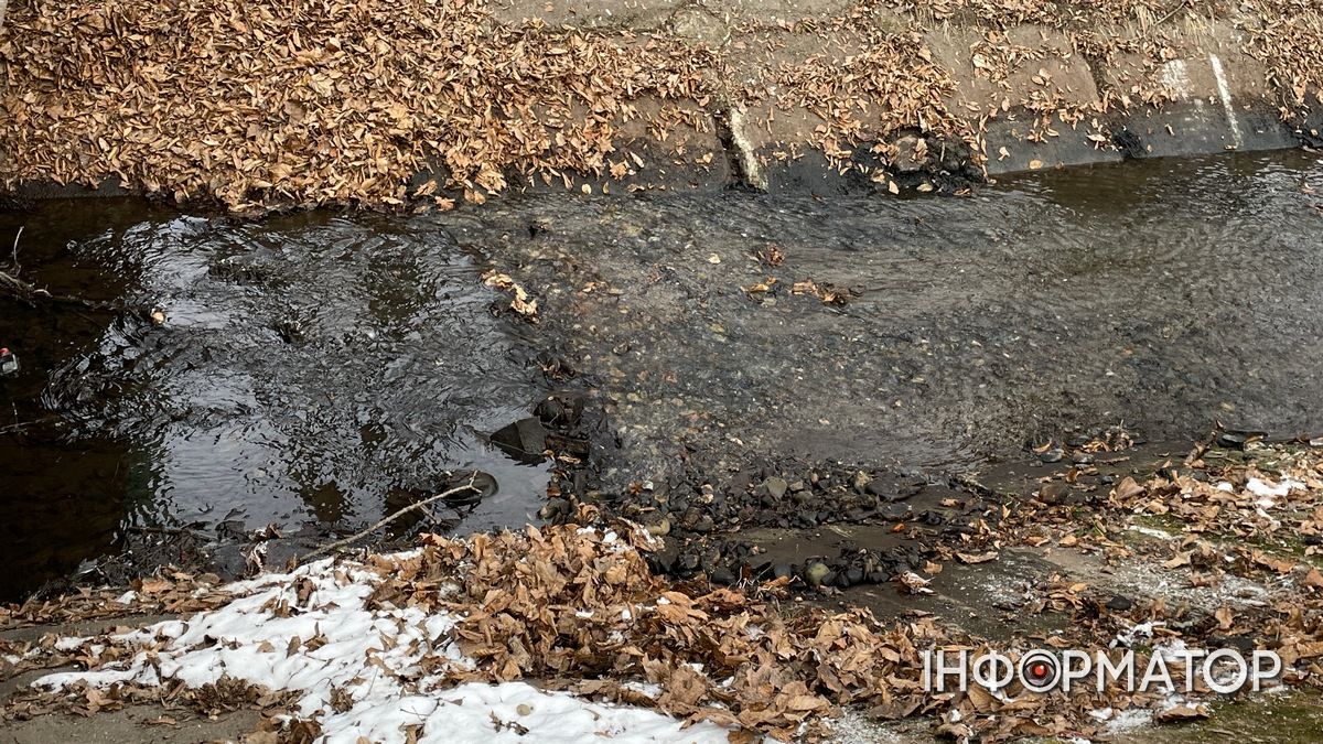 З дна ріки у міському парку Коломиї вивезли кілька причепів багна | ВІДЕО 11
