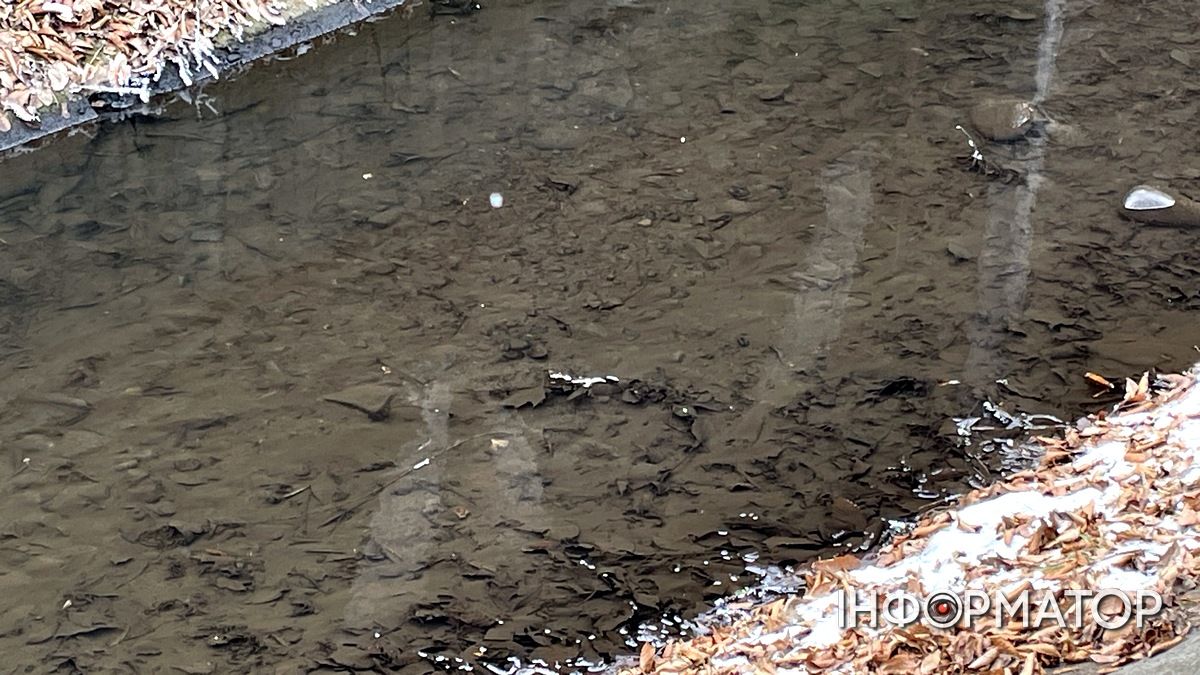 Частину русла від містка до вул. Кобилянської не почистили