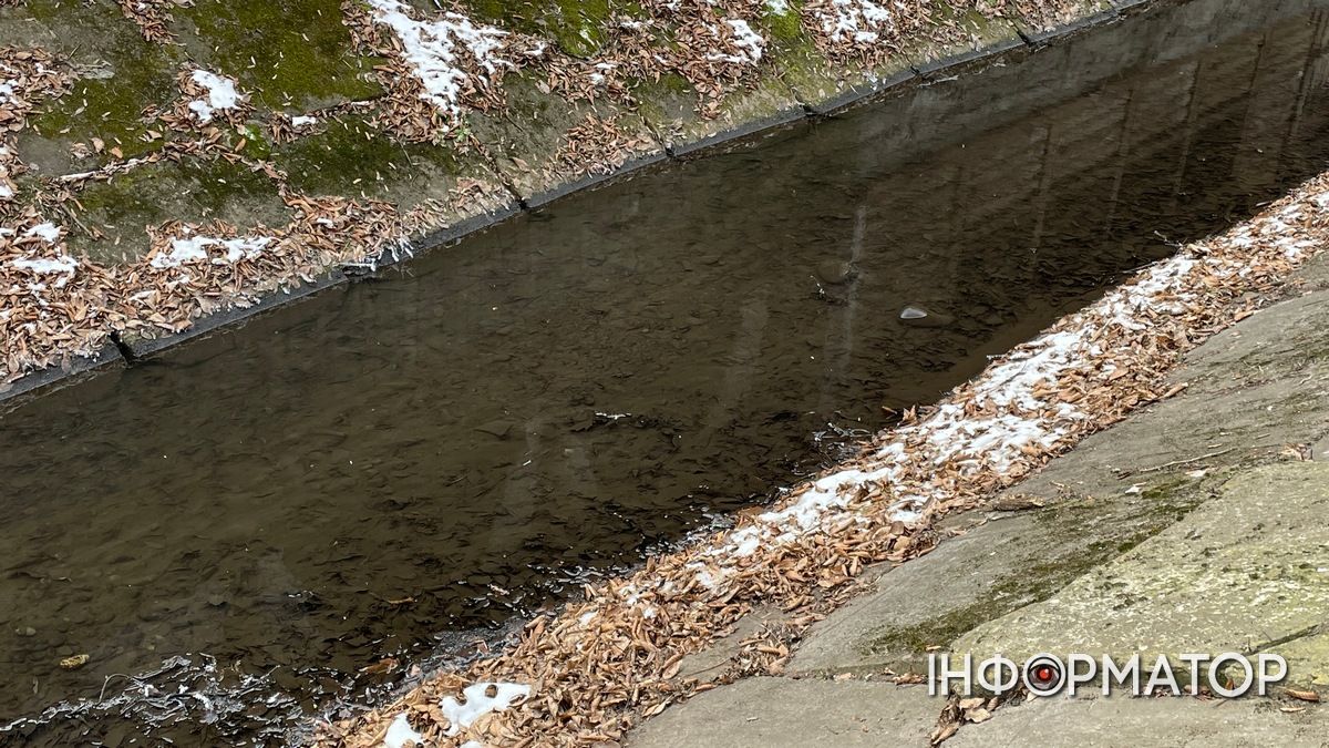 Частину русла від містка до вул. Кобилянської не почистили