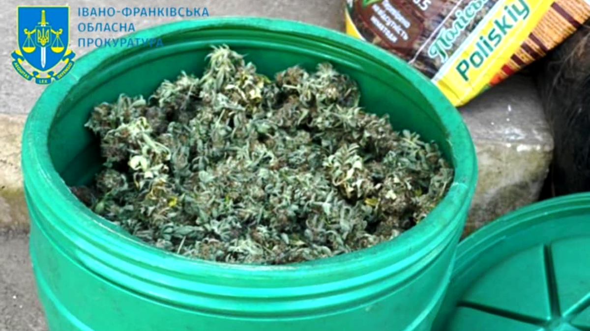На Прикарпатті з чотирьох нарколабораторій вилучили більш ніж 25 кг канабісу, вартістю понад 16 млн грн 5