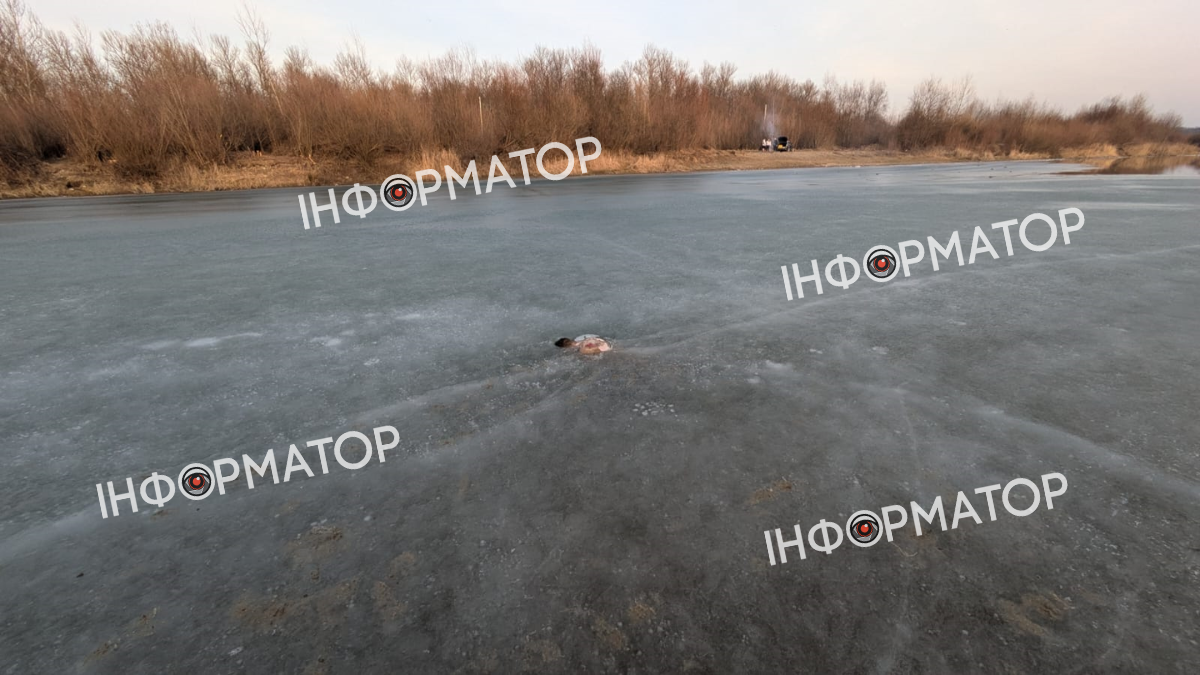 Тіло потопельника витягли із замерзлого Пруту 1