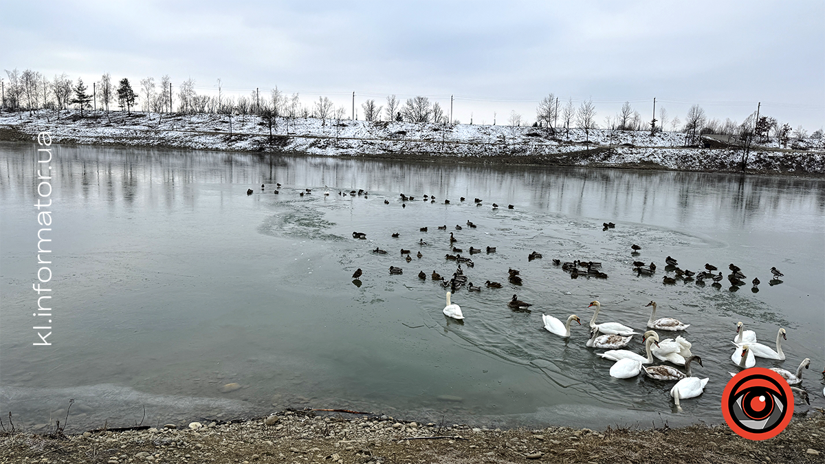 Морозний ранок на Шевченківському озері: фоторепортаж з Коломиї 7