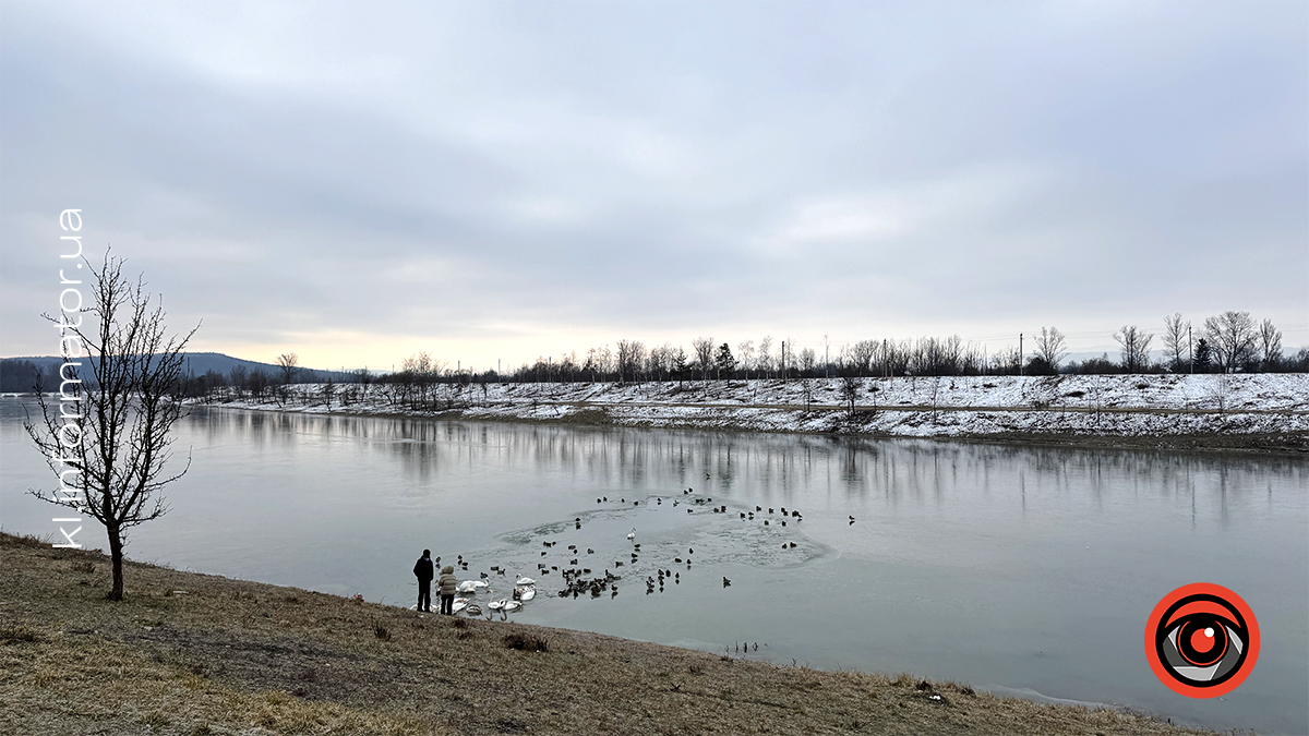 Морозний ранок на Шевченківському озері: фоторепортаж з Коломиї 2