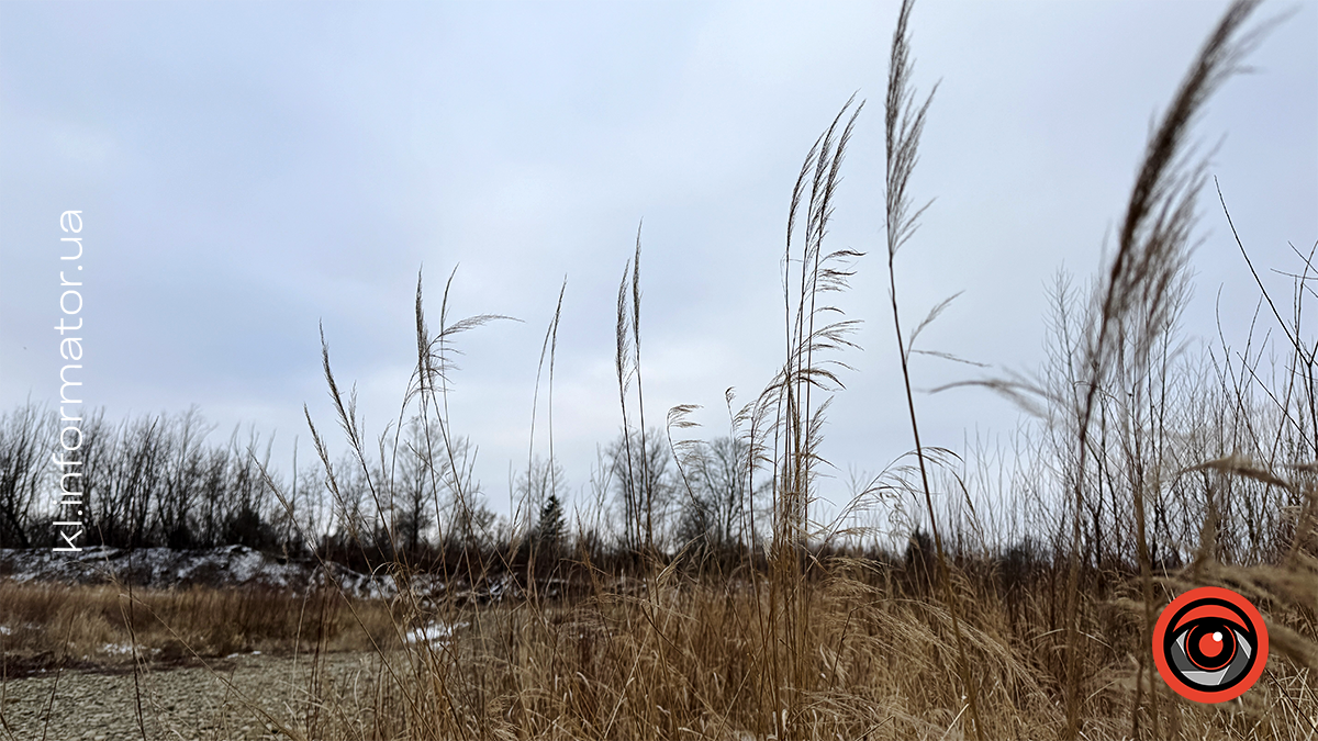 Морозний ранок на Шевченківському озері: фоторепортаж з Коломиї 11