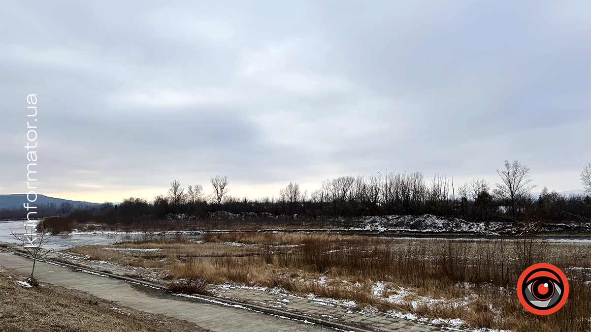 Морозний ранок на Шевченківському озері: фоторепортаж з Коломиї 4