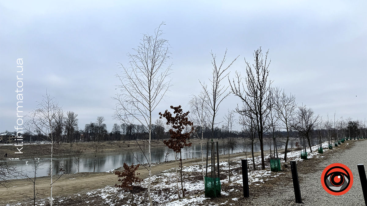 Морозний ранок на Шевченківському озері: фоторепортаж з Коломиї 14