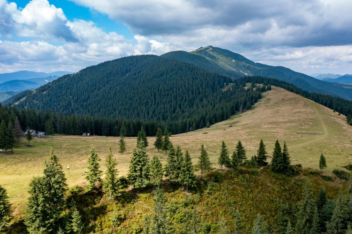 Понад 4 тис га землі Карпатського національного природного парку залишать у власності держави 1