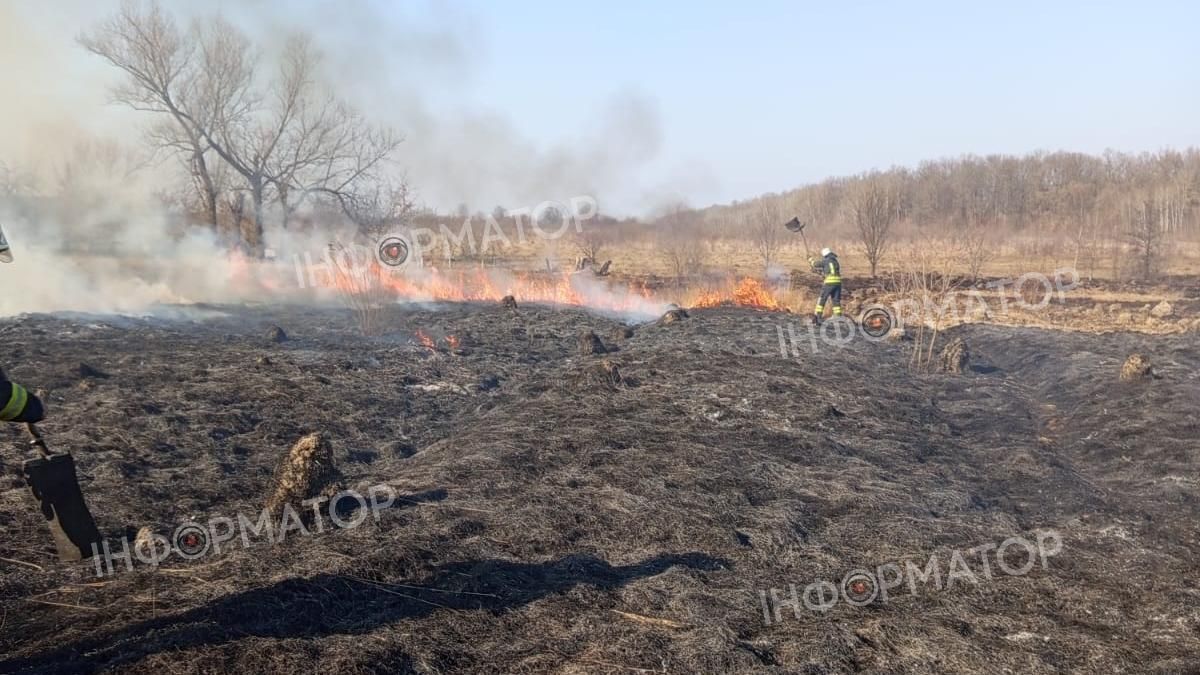 15 пожеж сухої трави та 1 лісовоза: де палало на Коломийщині 24 лютого