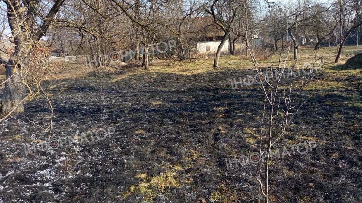 Пожежа сухої трави