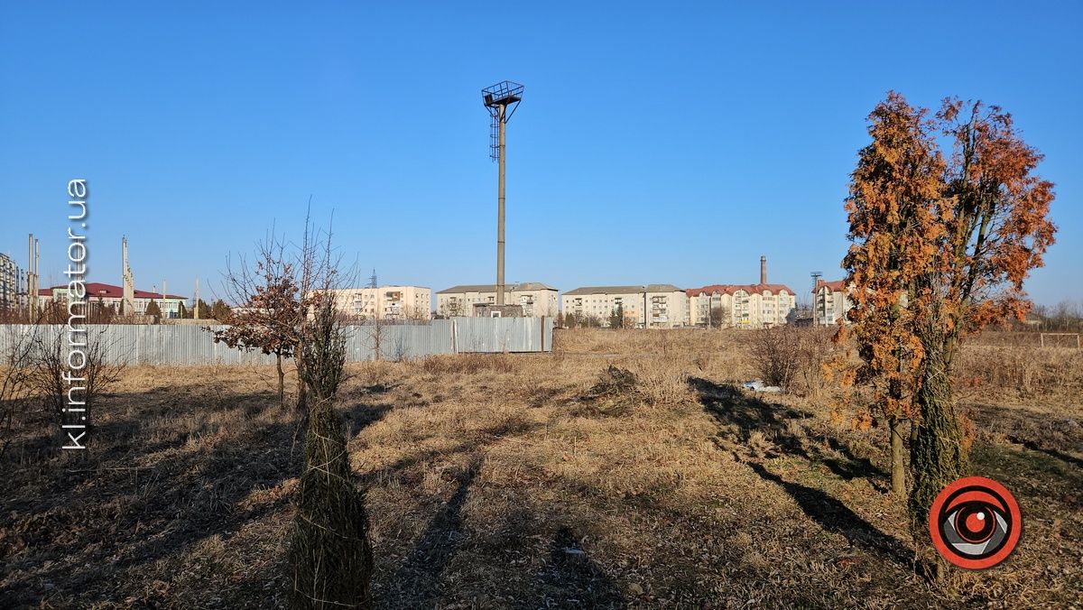 Невдала спроба: пересаджені від Писанки туї всі пропали 2