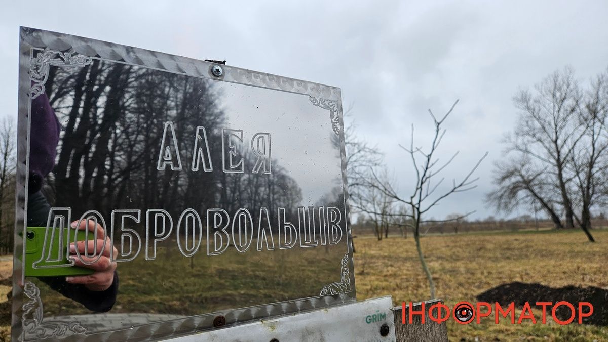 Алея добровольців у Коломиї поповнилась молодими дубами, а крім того цей день відзначили іншими спортивно-масовими заходами 6
