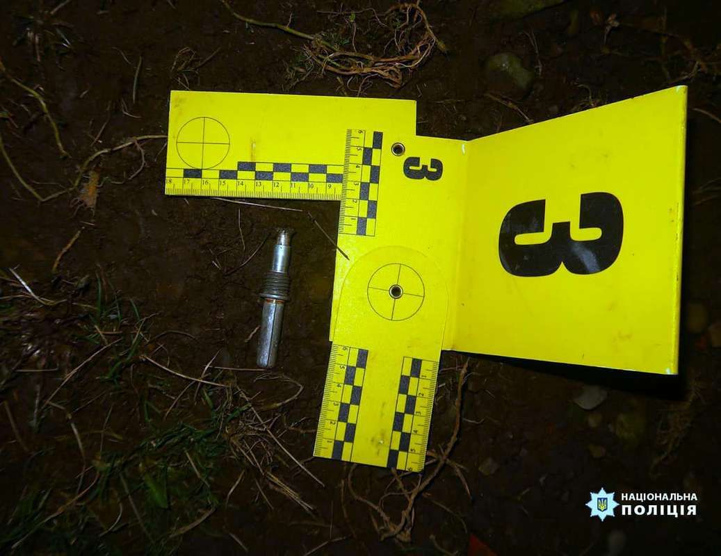 Прикарпатець під час сварки з дружиною підірвав боєприпаси: є постраждалі 3