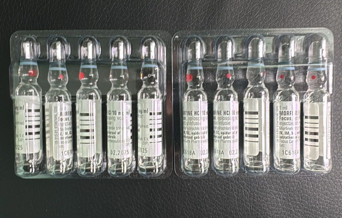 Прикордонники виявили кілька ампул морфіну в румунки 2