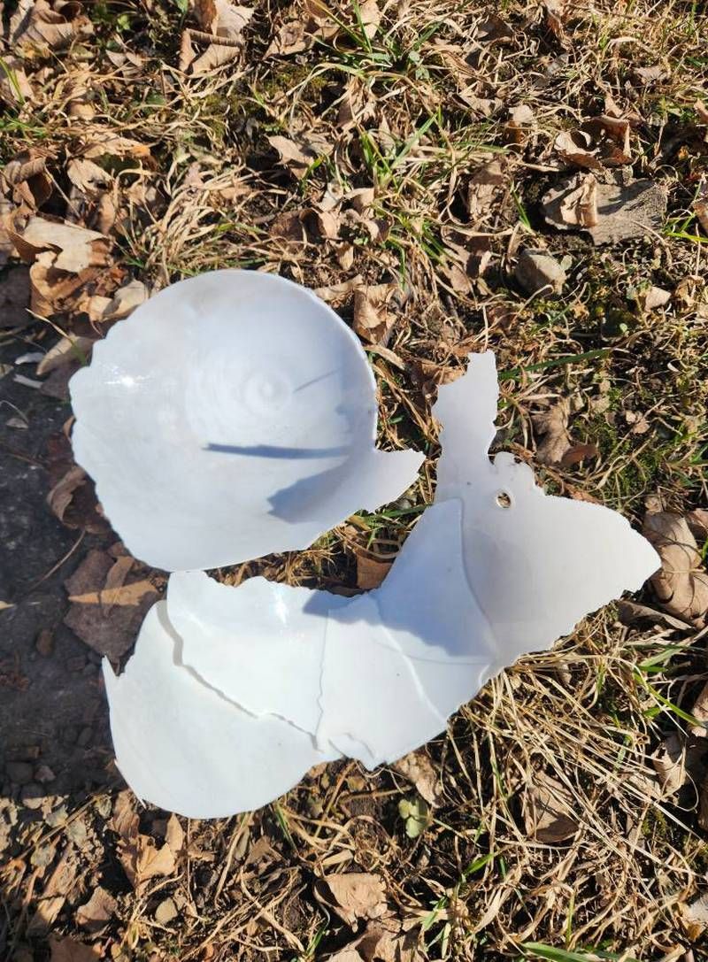 Вандали у Снятині понищили паркові ліхтарі 3